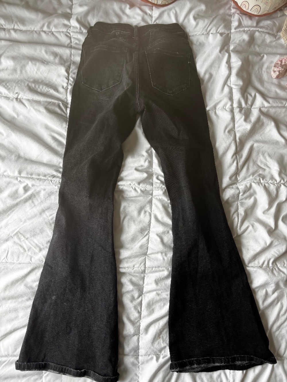 Flying monkey flare jeans- black